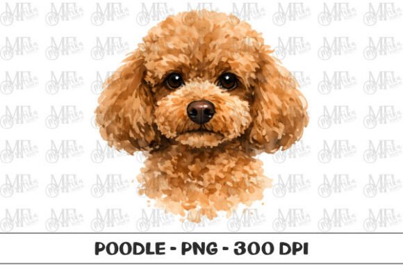 Download Poodle Watercolor Portrait PNG - Poodle Collection