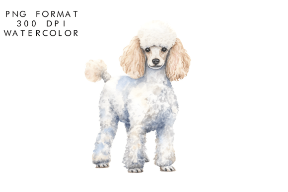 Download Watercolor Poodle Dog Clipart - Poodle Collection