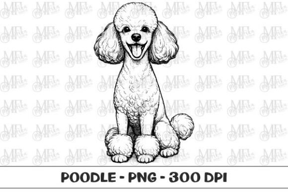 Download Poodle Dog Sketch PNG - Poodle Collection