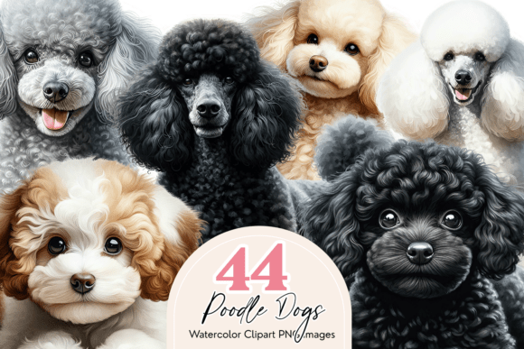 Download Poodle Clipart Bundle, 44 Watercolor Dog - Poodle Collection