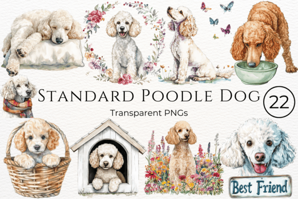 Download Standard Poodle Dog Watercolor Clipart - Poodle Collection