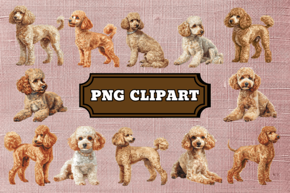 Download Poodle Dog Clipart Bundle - Poodle Collection