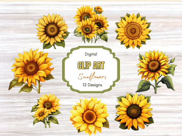 Download Sunflower Autumn Flower Clip Art - Sunflower Collection